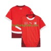 Tenue Suisse Domicile UEFA Euro 2024 Maillot de Foot